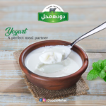 Doodh Mahal Fresh Dahi (Yogurt) 1KG